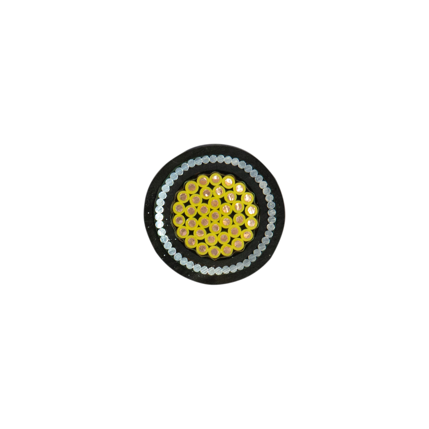 Câble de commande blindé isolé PVC/XLPE